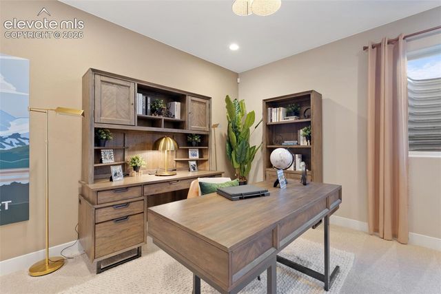 6723 Chelsea Thicket Court, Colorado Springs, CO 80924
