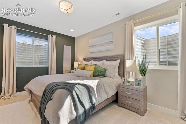 6723 Chelsea Thicket Court, Colorado Springs, CO 80924