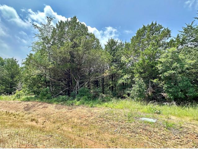 137 Whispering Pine Drive, Gordonville, TX 76245