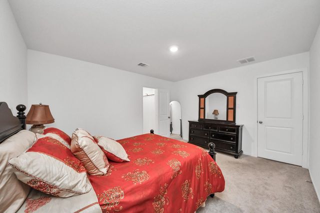 28715 Texas Plains Drive, Hockley, TX 77447