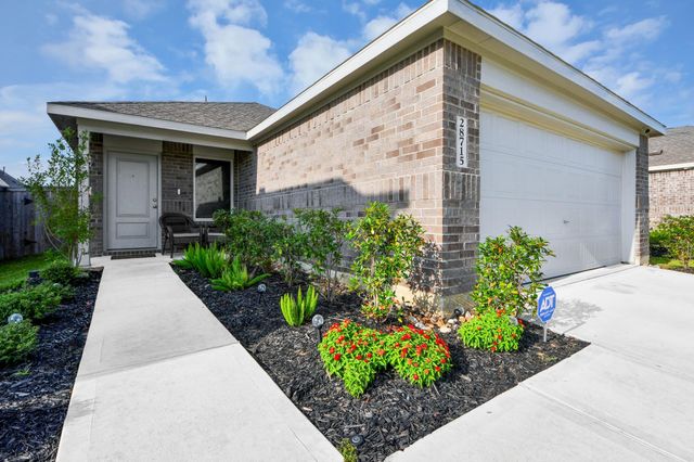 28715 Texas Plains Drive, Hockley, TX 77447