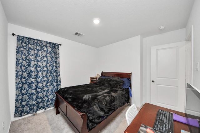 28715 Texas Plains Drive, Hockley, TX 77447