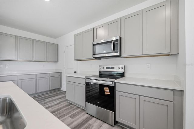 17786 ACORN DROP ROAD, Land O Lakes, FL 34638
