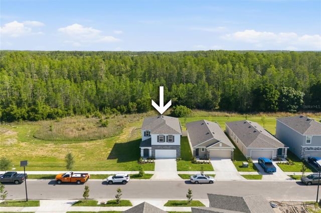 17786 ACORN DROP ROAD, Land O Lakes, FL 34638