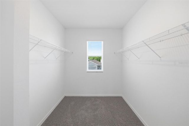 17786 ACORN DROP ROAD, Land O Lakes, FL 34638