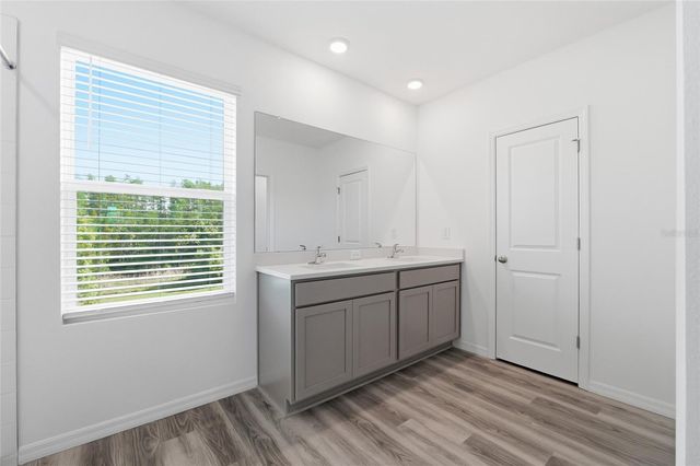 17786 ACORN DROP ROAD, Land O Lakes, FL 34638