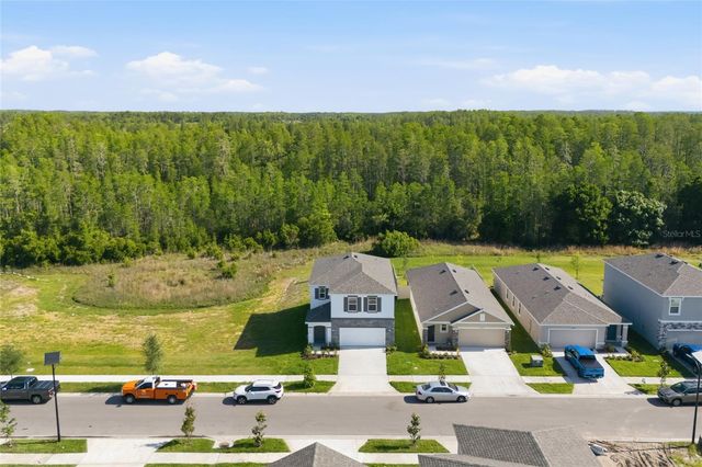 17786 ACORN DROP ROAD, Land O Lakes, FL 34638