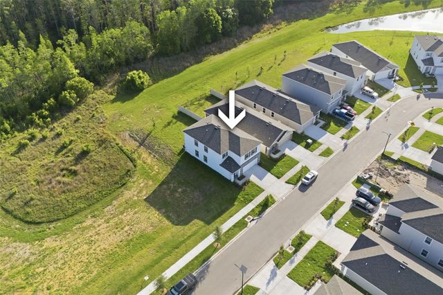 17786 ACORN DROP ROAD, Land O Lakes, FL 34638