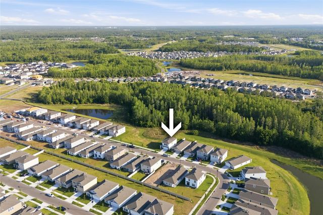 17786 ACORN DROP ROAD, Land O Lakes, FL 34638