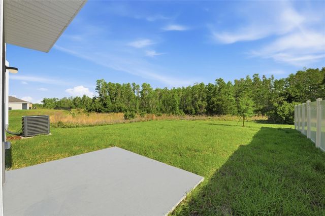 17786 ACORN DROP ROAD, Land O Lakes, FL 34638