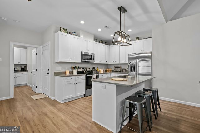 1231 Village Green Drive NE, Townsend, GA 31331