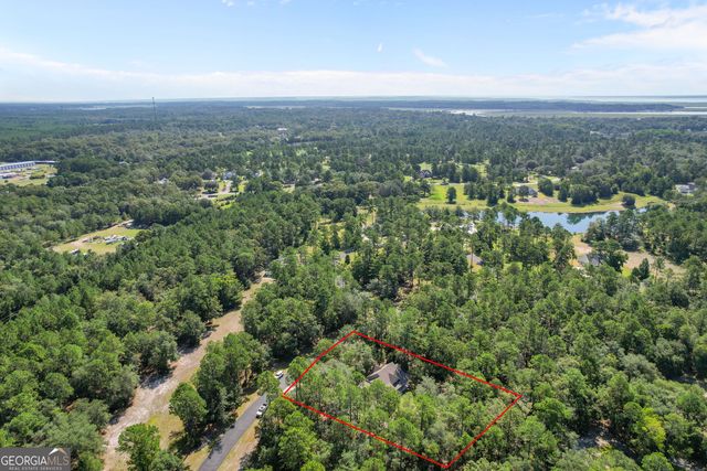 1231 Village Green Drive NE, Townsend, GA 31331