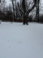 19611 Crawford Avenue, Flossmoor, IL 60422