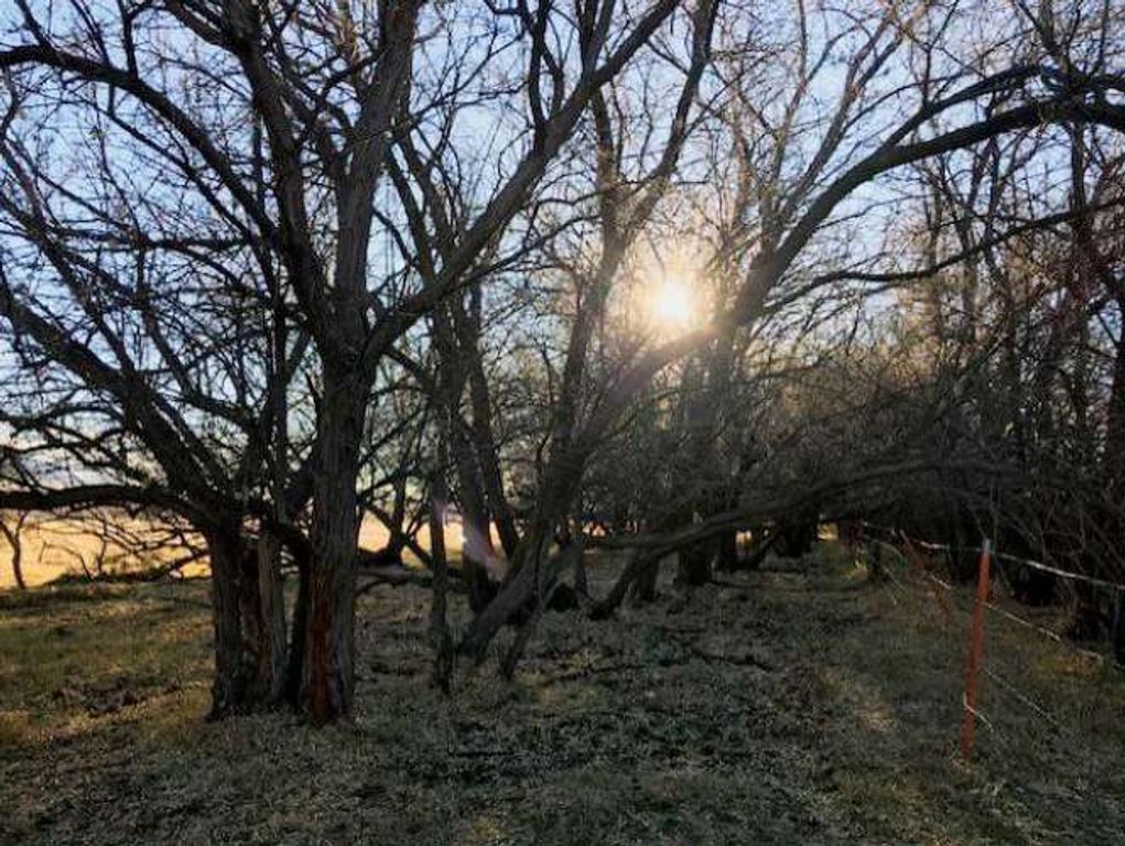 0 Carney Lane, Whitehall, MT 59759 photo 13