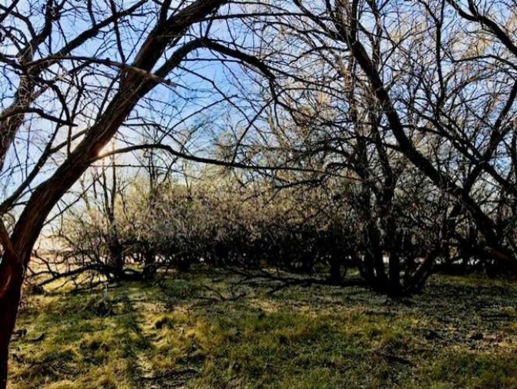 0 Carney Lane, Whitehall, MT 59759 photo 15