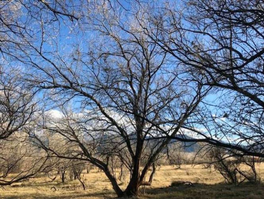 0 Carney Lane, Whitehall, MT 59759 photo 9