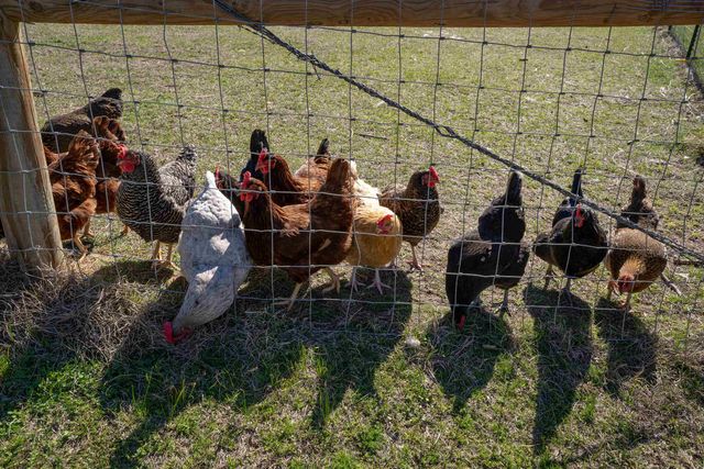 5275 FM 2011, Longview, TX 75603