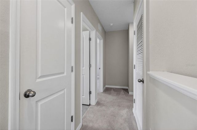 32107 CONCHSHELL SAIL STREET, Wesley Chapel, FL 33545