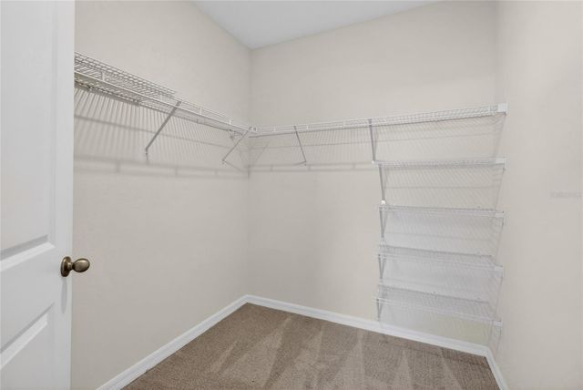 32107 CONCHSHELL SAIL STREET, Wesley Chapel, FL 33545