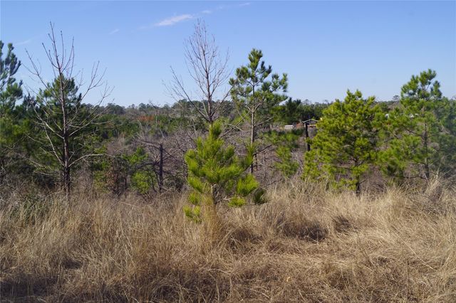 488 E Kelley RD, Bastrop, TX 78602