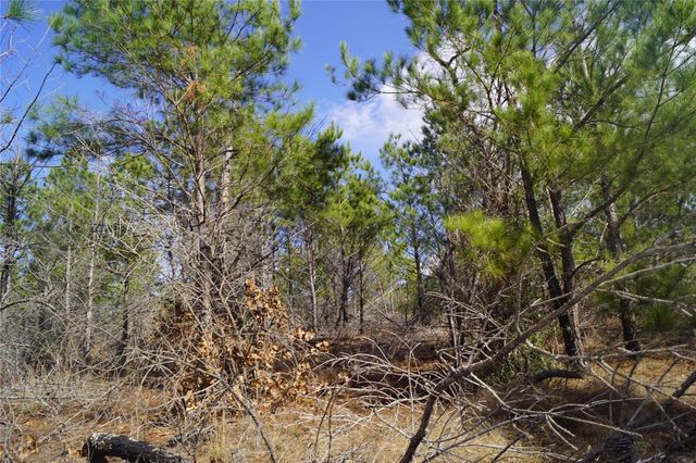 488 E Kelley RD, Bastrop, TX 78602