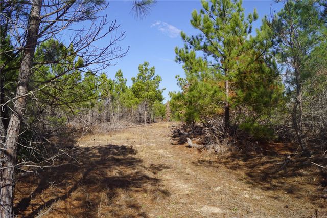 488 E Kelley RD, Bastrop, TX 78602