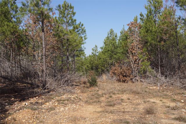 488 E Kelley RD, Bastrop, TX 78602