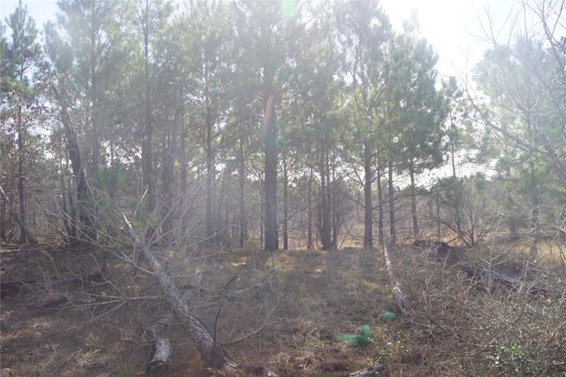 488 E Kelley RD, Bastrop, TX 78602