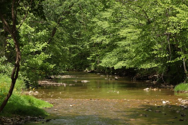 4801 Highway 48, Cumberland Furnace, TN 37051