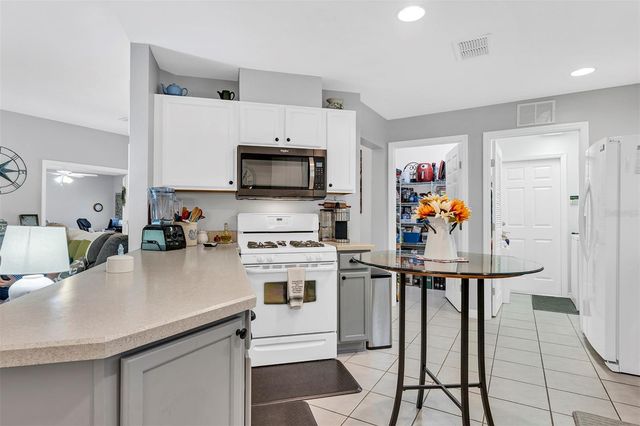 4401 POPLAR GROVE COURT, Leesburg, FL 34748