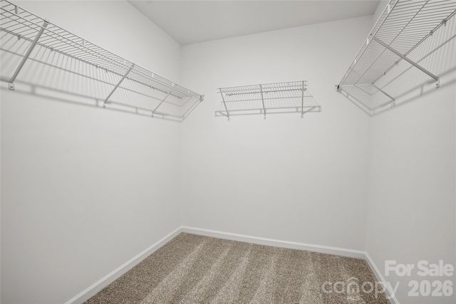 14040 Steller Street, Charlotte, NC 28269