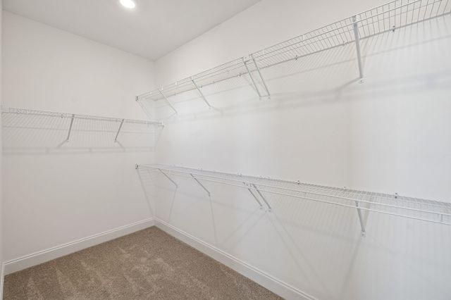 236 Muir Ave, Nolensville, TN 37135