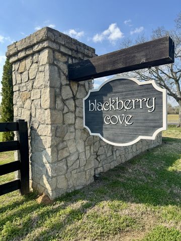 0 Black Barn Lane, Rockvale, TN 37153