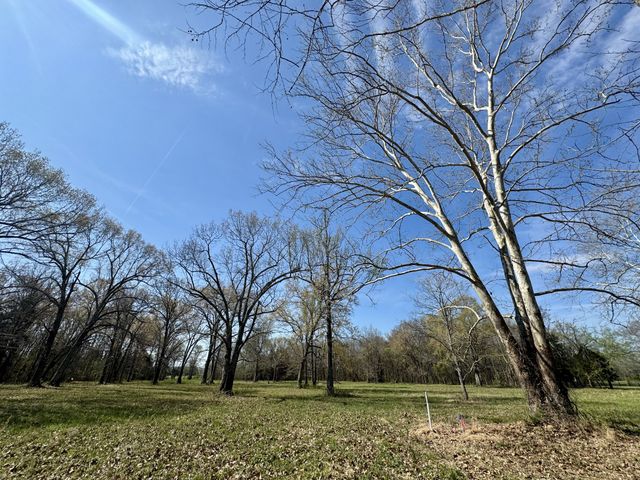 0 Black Barn Lane, Rockvale, TN 37153