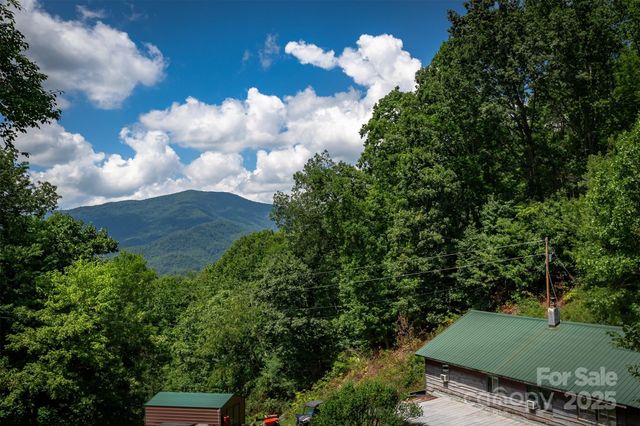 1145 Woolyshot Branch Road, Hot Springs, NC 28743