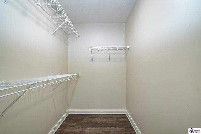 311 Valhalla Trace, Vine Grove, KY 40175