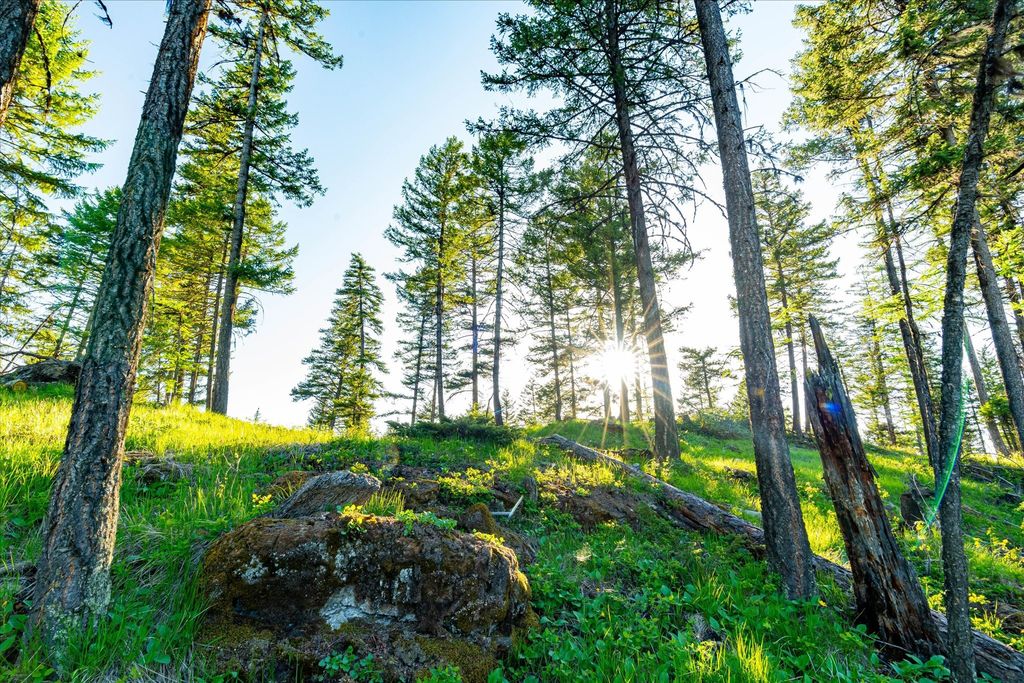 31 Forest Path Drive, Whitefish, MT 59937 photo 75