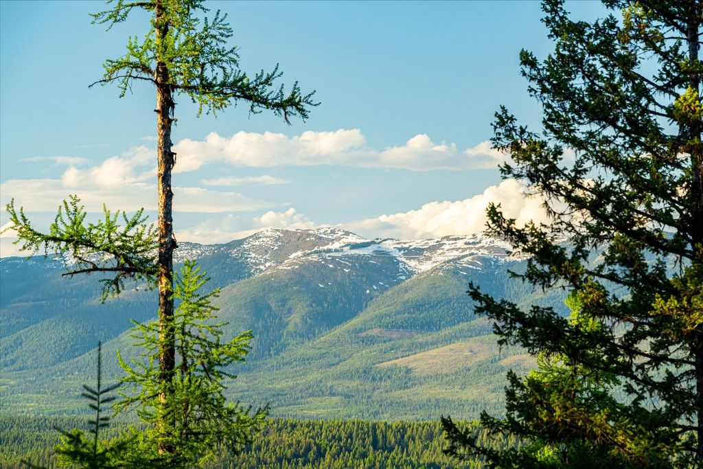 31 Forest Path Drive, Whitefish, MT 59937 photo 79