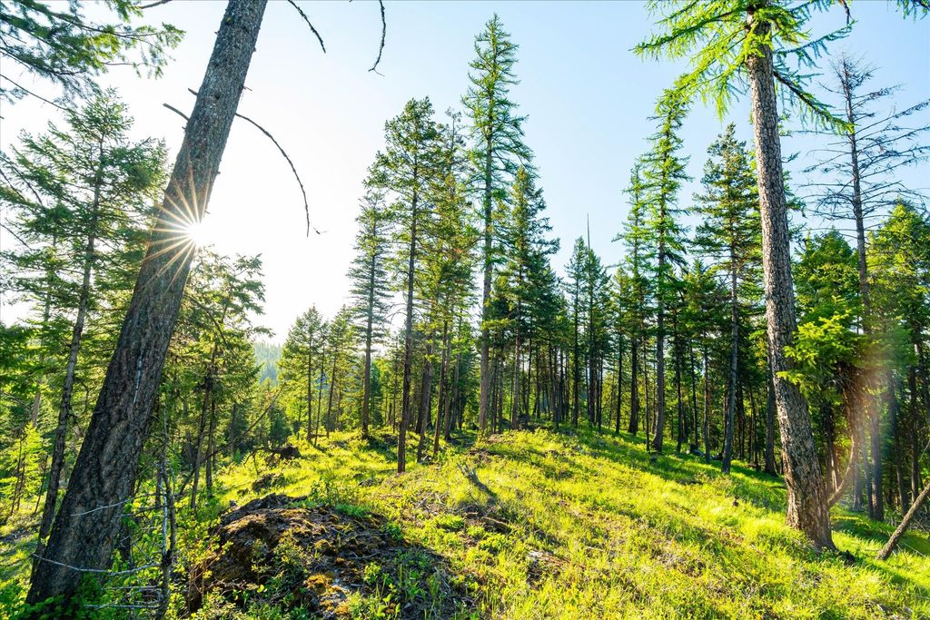 31 Forest Path Drive, Whitefish, MT 59937 photo 82