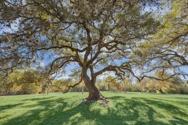 509 N Live Oak Street, Round Top, TX 78954