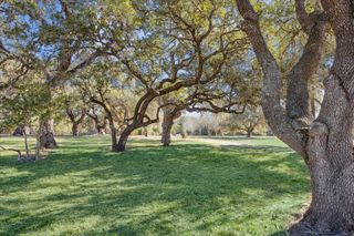 509 N Live Oak Street, Round Top, TX 78954