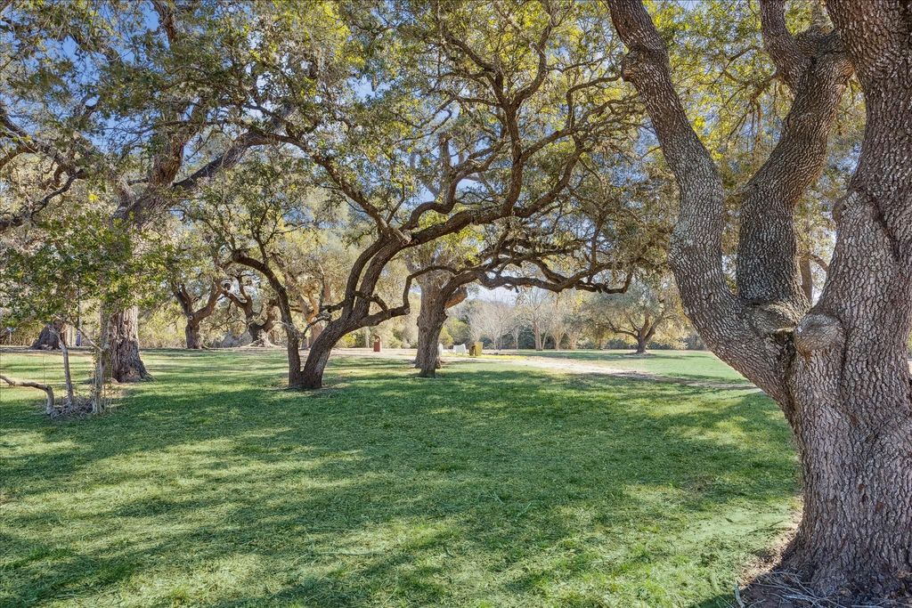 509 N Live Oak Street, Round Top, TX 78954