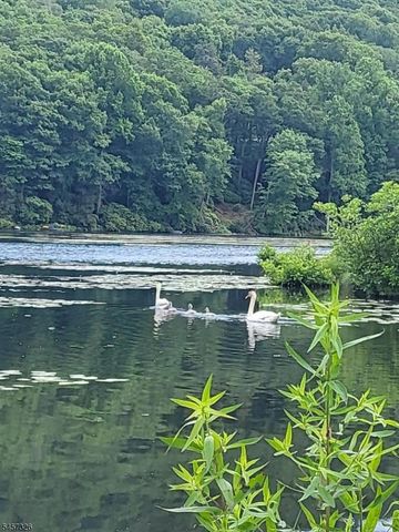 101 Woods Rd, Sandyston Twp., NJ 07826