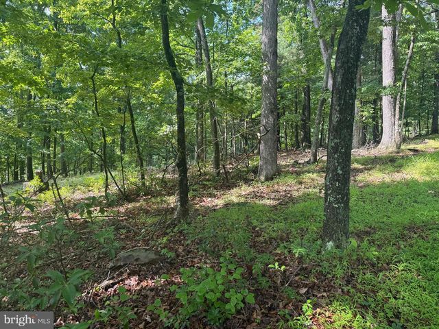133 PEPPER LN, Great Cacapon, WV 25422