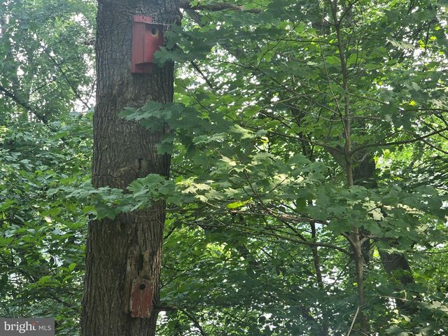 474 TEMPLE DR, Falling Waters, WV 25419