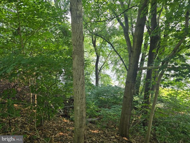 474 TEMPLE DR, Falling Waters, WV 25419