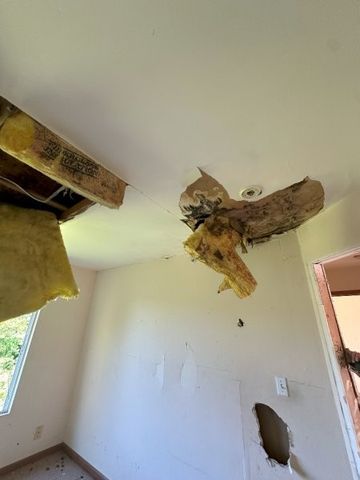 21746 CAROL Avenue, Sauk Village, IL 60411