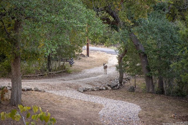 6531 Wegner Rd, New Braunfels, TX 78132