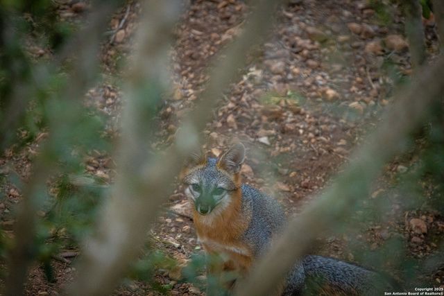 6531 Wegner Rd, New Braunfels, TX 78132