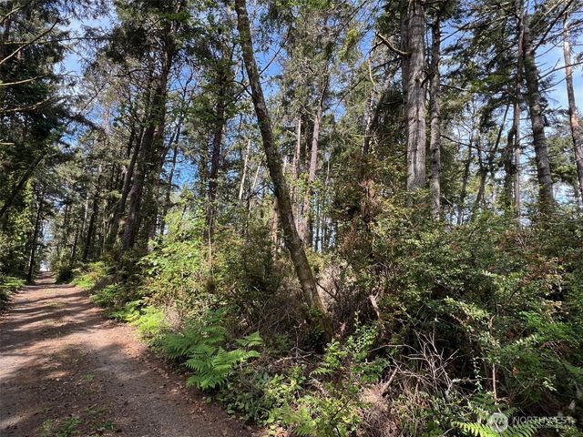 1101 Lot E 231st Lane, Ocean Park, WA 98640